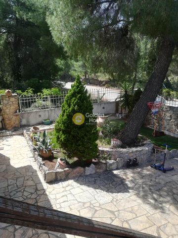 Ενοικίαση, Κατοικία, Μονοκατοικία - Φωτογραφία 4