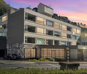 Welcome to apartment 209 at Sharella Living in Thorndon. - Photo 2