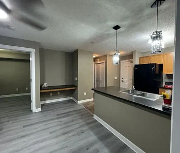 Brand new Luxury Vinyl Plank Flooring. New lighting. | 204 - 3719 Whitelaw Ln NW, Edmonton - Photo 1