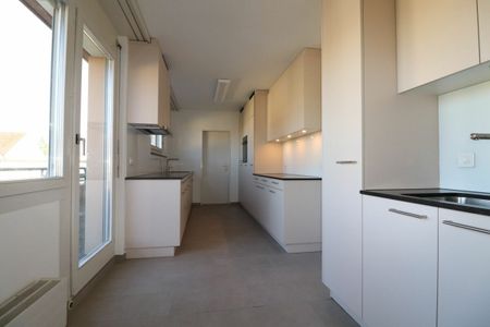 Nähe Schützenmattpark - frisch teilsanierte, grosszügige Dachwohnung mit 2 Terrassen - Foto 3