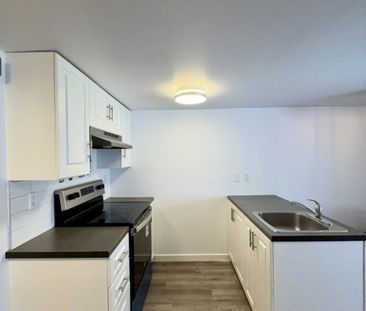 Nouveauté sur le marché Appartement à louer - Montréal (Mercier/Hoc... - Photo 2
