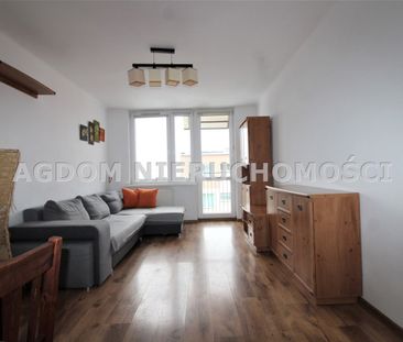 Kazimierza Wielkiego, Włocławek - Zdjęcie 2