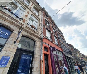 Location Appartement 1 pièce Meublé 18m² LILLE 59000 - Photo 6