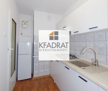 Wynajem, Gumieńce kawalerka z balkonem - Zdjęcie 2