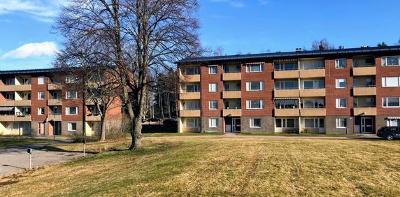 Smältaren - Photo 2