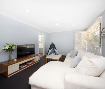 11 Daglish Street, Curtin ACT 2605 - House For Rent | Domain - Photo 6