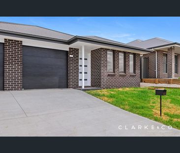 19 Anston Street, Farley, NSW 2320 - Photo 3