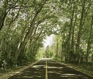 41 Woodridge Crescent, Bayshore - Belltown, Ottawa, ON - Photo 3