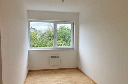 Wohnung in Allentsteig - Foto 4