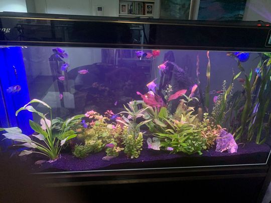 East Perth - Photo 1