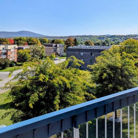 4-1/2 clientèle 50 ans et + tranquille, belle vue. - Photo 4