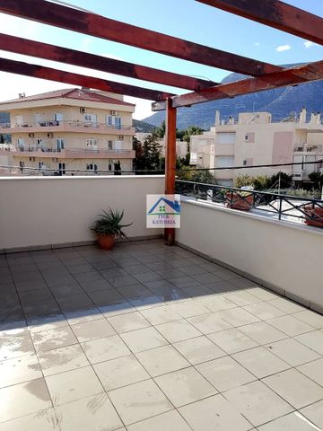 Μονοκατοικία για ενοικίαση Κέντρο (Παιανία) - Photo 5