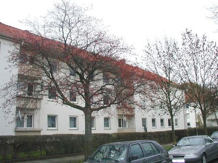 Wer will mich!? Interessante 3-Zimmer-Wohnung - Foto 3