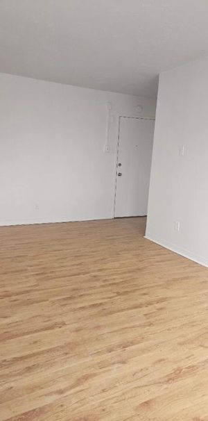 1 CH - 1 SDB - Montréal - $1,345 /mo - Photo 1