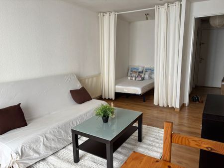 Location Appartement 1 pièce 29m² VIENNE 38200 - Photo 3