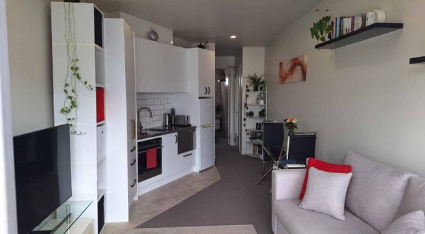 Prime Ponsonby Location - Photo 1