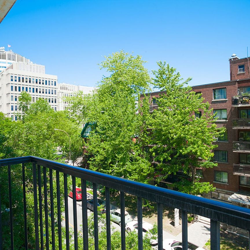 3495 Rue de la Montagne - Photo 1