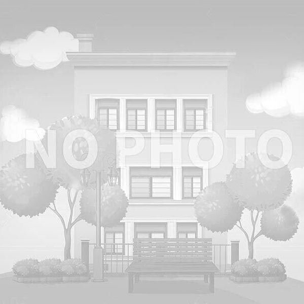 8231 Boulevard Pie-IX, Montréal, QC - Photo 2