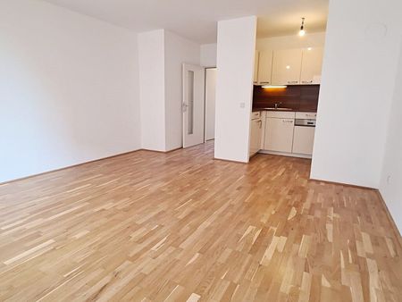 MOSSBACHERGASSE, sonnige 63 m² Neubau mit 12 m² Loggia/Terrasse, Wohnküche, 1 Zimmer, Wannenbad, Parketten, 3. Liftstock - Photo 5