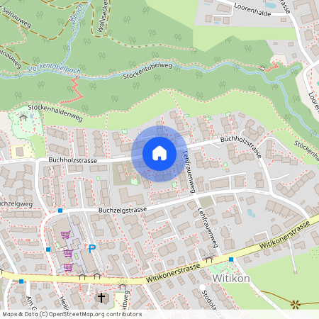 Buchholzstrasse 110, 8053 Zürich