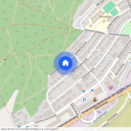 4600, Olten, Haldenstrasse, 33