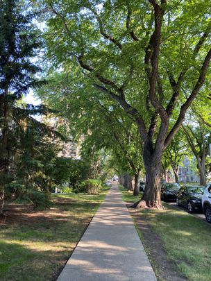 Hearth Manor - Photo 1