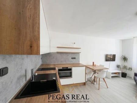 Pronájem bytu 1+kk 26 m - Fotografie 5