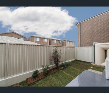 Quite The Catch - Photo 6