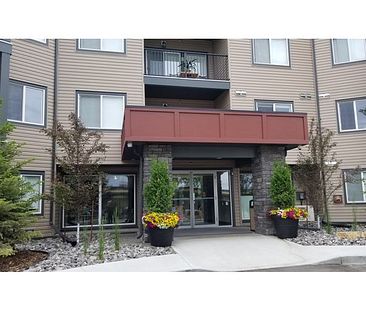 South West Edmonton ONE BEDROOM Apartment for rent (4 YEAR OLD BUILDING) | 11511 27 Avenue Northwest, Edmonton - Photo 1