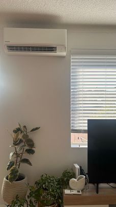 Manly Vale - Photo 1