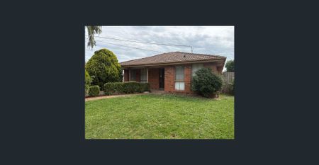 Brand new painting, carpet and floorboards - Photo 5