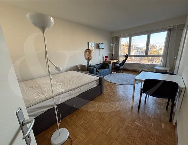Rue de Lyon 85 – 2-room furnished apartment - Photo 1
