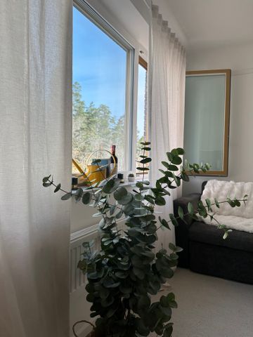 Professorsslingan, Stockholm - Foto 2