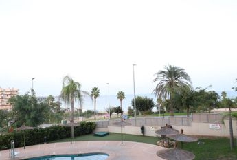 Mil Palmeras Alquiler Hasta Agosto