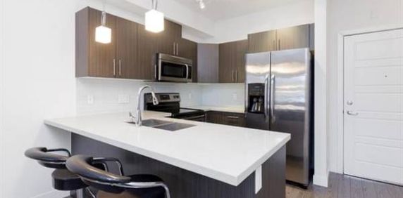 Spacious 1-Bedroom + Den Apartment in Downtown Maple Ridge (Pet Friendly) - Photo 2