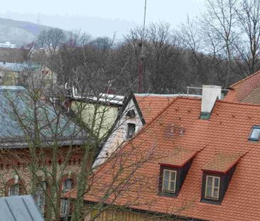 Anfragen bitte per Mail: Loft-Wohnung vom Feinsten mit 2 Terrassen (östliche Altstadt) - Foto 5