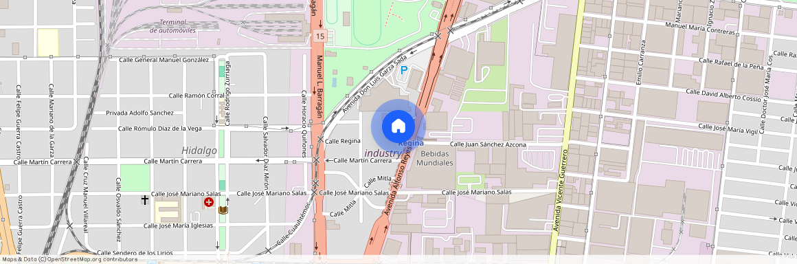 Avenida Alfonso Reyes, Regina, Monterrey, Nuevo León, 64290, MEX