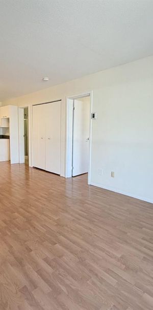 Antoine-du Verdier Appartement 3 ½ à Louer Sainte-Foy / Sillery Août 2027 - Photo 1
