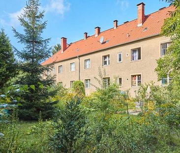 Ruhige und renovierte 1,5 Zimmer - Photo 1