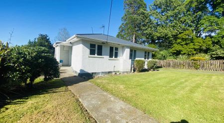 Renovated 3 bedroom home - Large Garage! - Photo 2