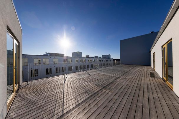 Velindrettet 1-værelses lejlighed helt tæt på Amager Strandpark! - Foto 1