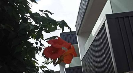 Modern 2-bedroom Apartment in Hamilton CBD - Photo 2