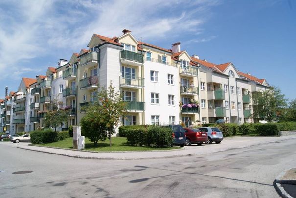 Helle, freundliche 3-Zimmer Wohnung mit 2 Balkonen und zugehörigen Stellplatz - Foto 1