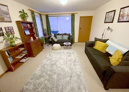 3/125 Geraldine Street, Edgeware, NZ 8013 - Photo 2