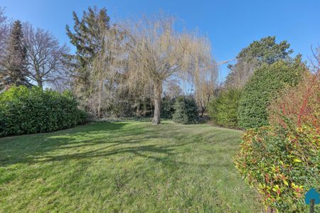 Eéngezinswoning met 2 slaapkamers en ruime tuin - Foto 5