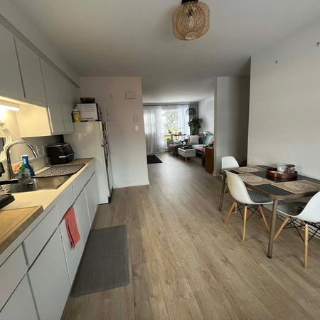 5 1/2 - Beloeil. Milieu paisible, non-fumeur. - Photo 4