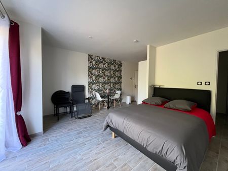 Location Appartement 1 pièce 30m² CARMAUX 81400 - Photo 4