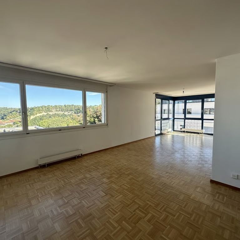 4.5 Zimmer, 120 m², 6. Stock - Foto 1