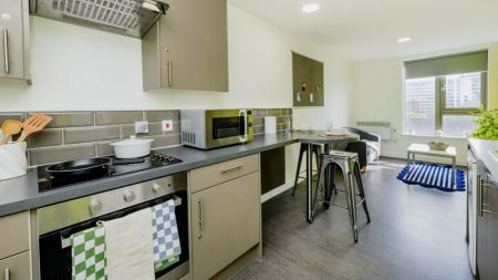Platinum 2 Bed Flat - Photo 5