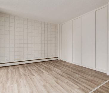Renovated Suite - 1 Bedroom - Photo 4